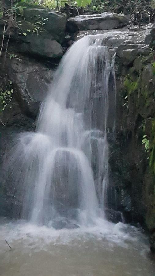 Cherilyn Monta Resort - Ratnagiri Vatul Exteriör bild